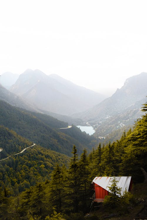 Fog over Valley