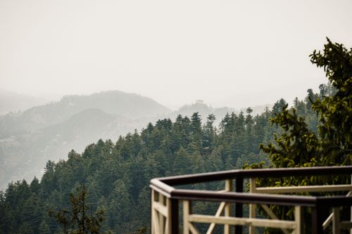 Free Panoramic view of foggy mountains and forest from an observation deck. Stock Photo