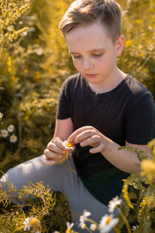 A Little Boy Sitting on a Meadow and Holding a Flower