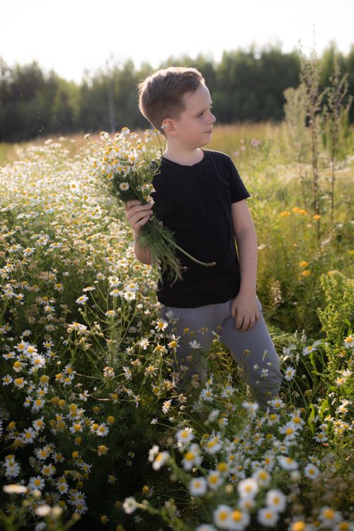 Free A young boy stands in a field of wildflowers under the sun, holding a bouquet. Stock Photo