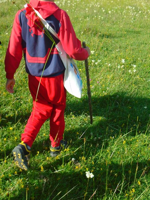 Free stock photo of anatolia, child, grass Stock Photo