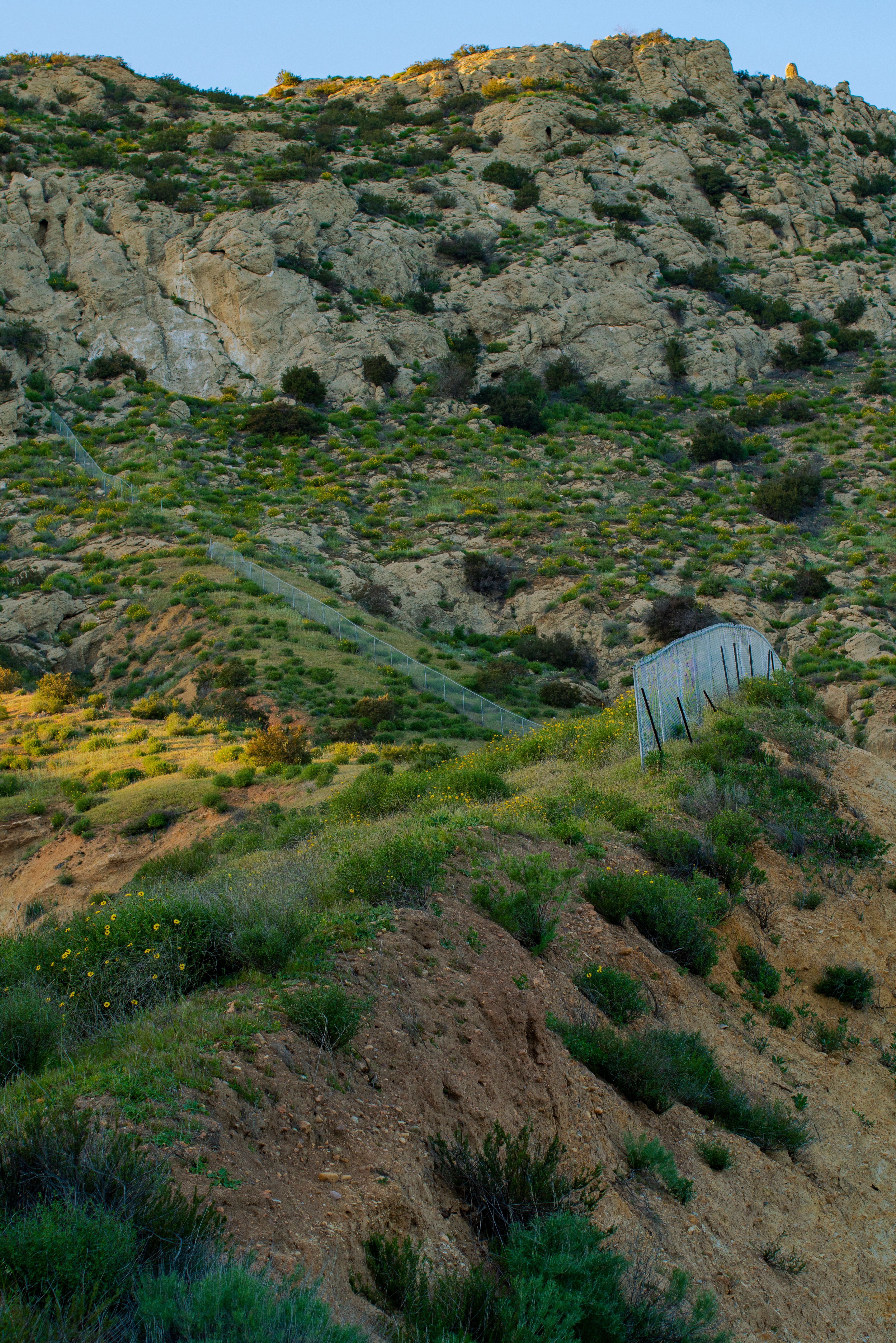 Castalian Spring