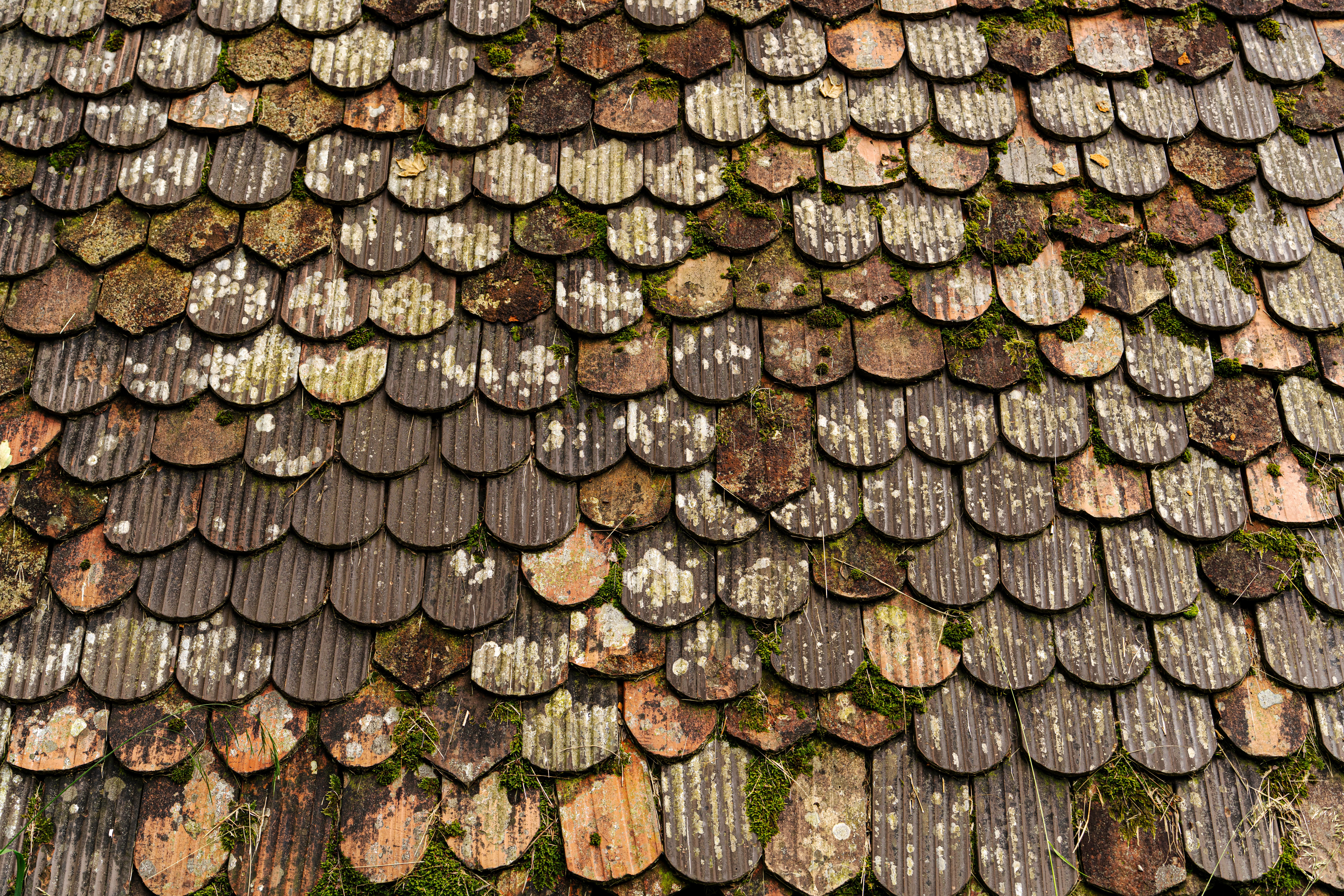 Repointing