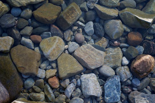 Fotobanka s bezplatnými fotkami na tému kamene, okruhliaky, pod vodou