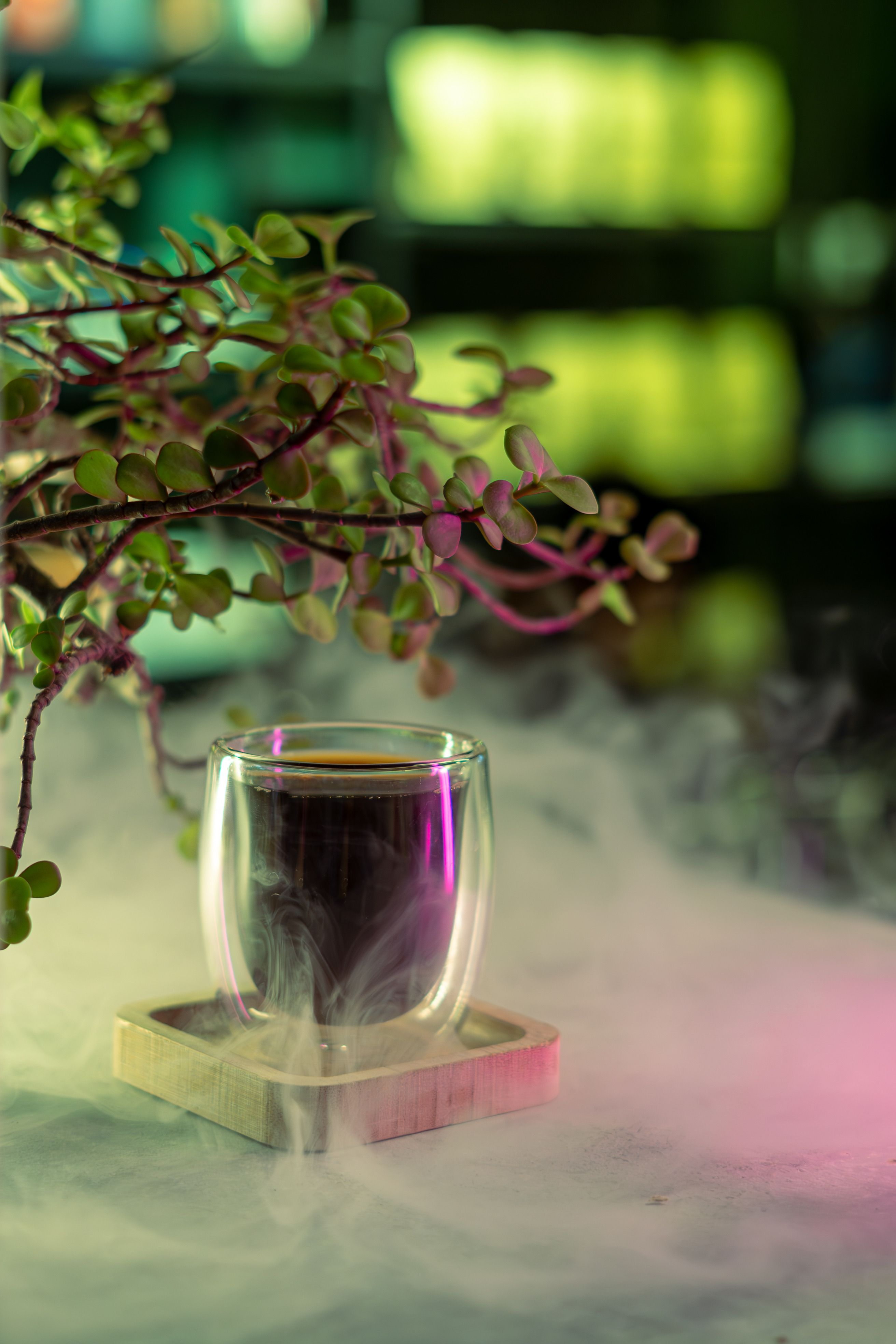Plant Deco Photos, Download The BEST
