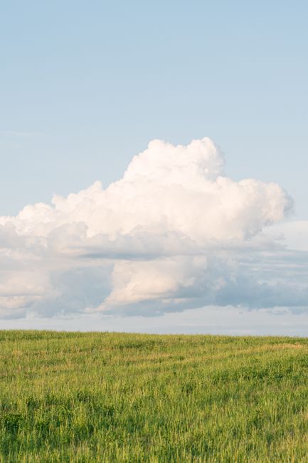 Serene landscape of a green field and fluffy cumulus clouds in Volozhin, Belarus.