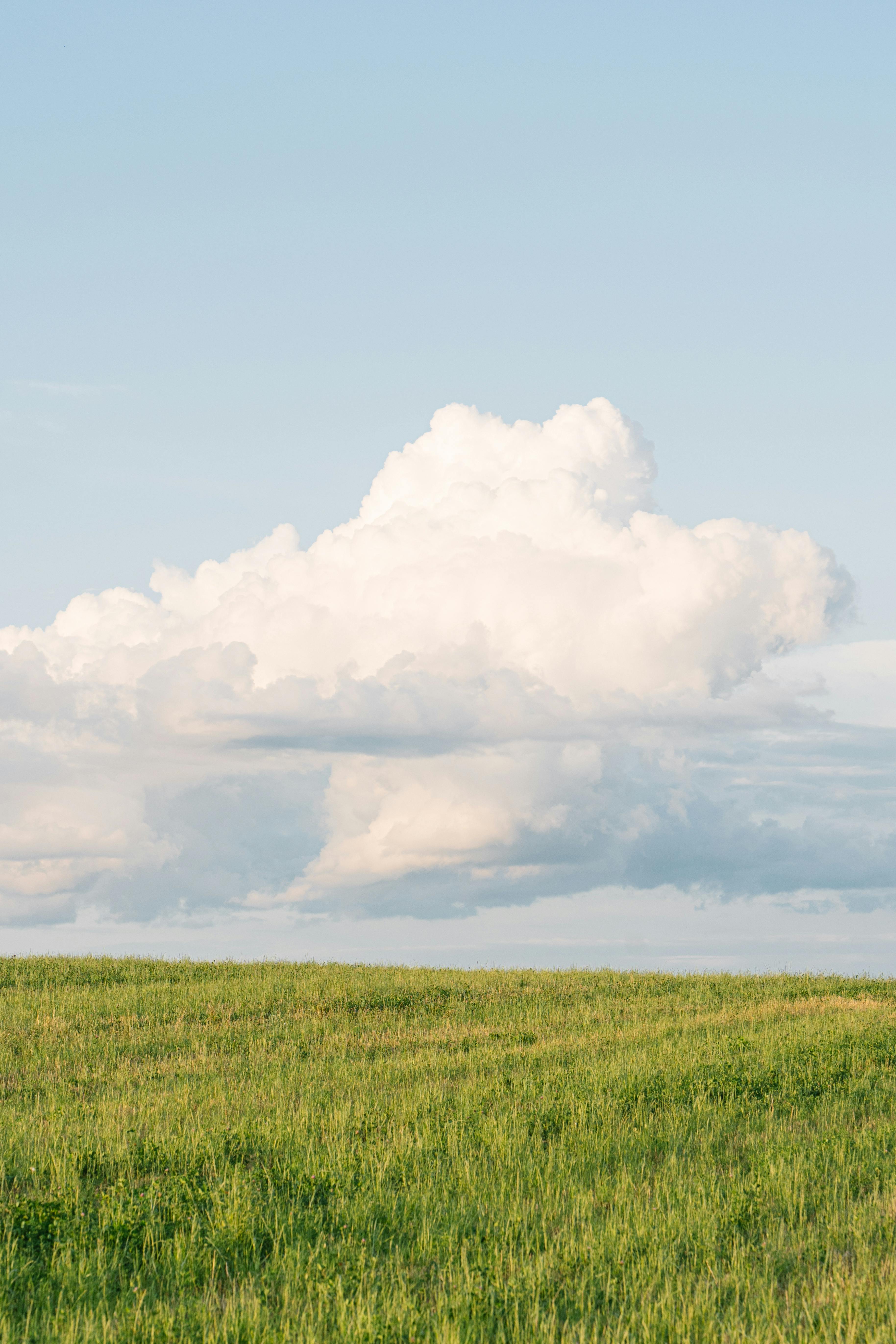 Fluffy Clouds over Meadow · Free Stock Photo