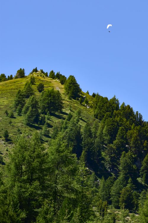 Free A paraglider soars above a lush forested hillside on a clear sunny day, capturing adventure and tranquility. Stock Photo
