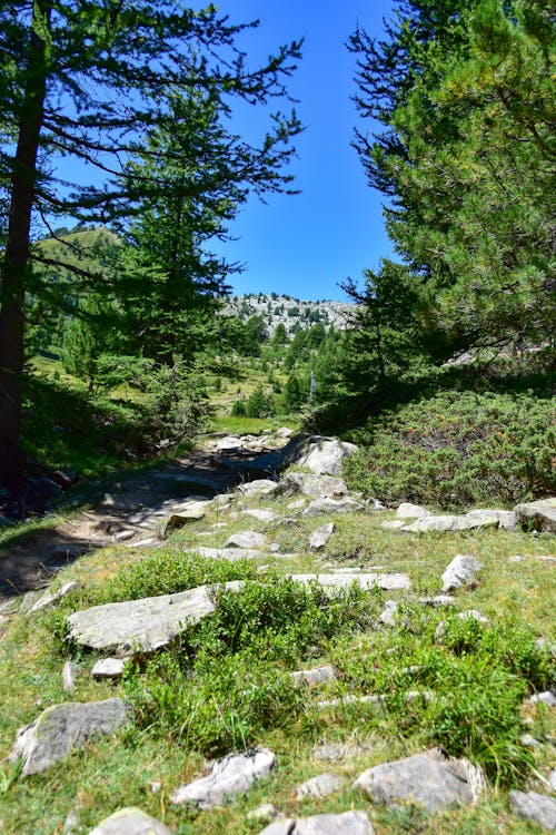 Footpath in a Rocky Valley