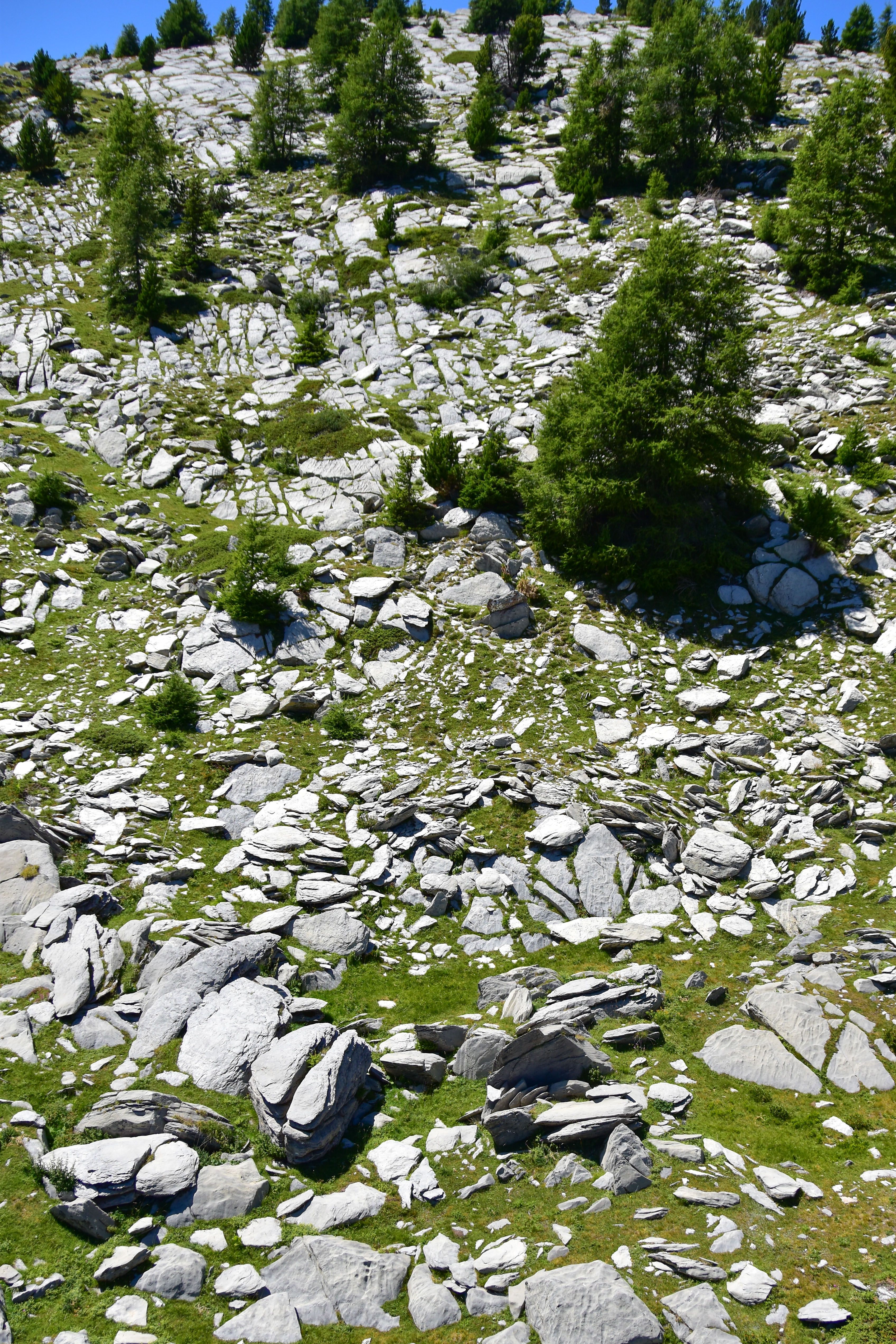 Rocks on a Hill · Free Stock Photo