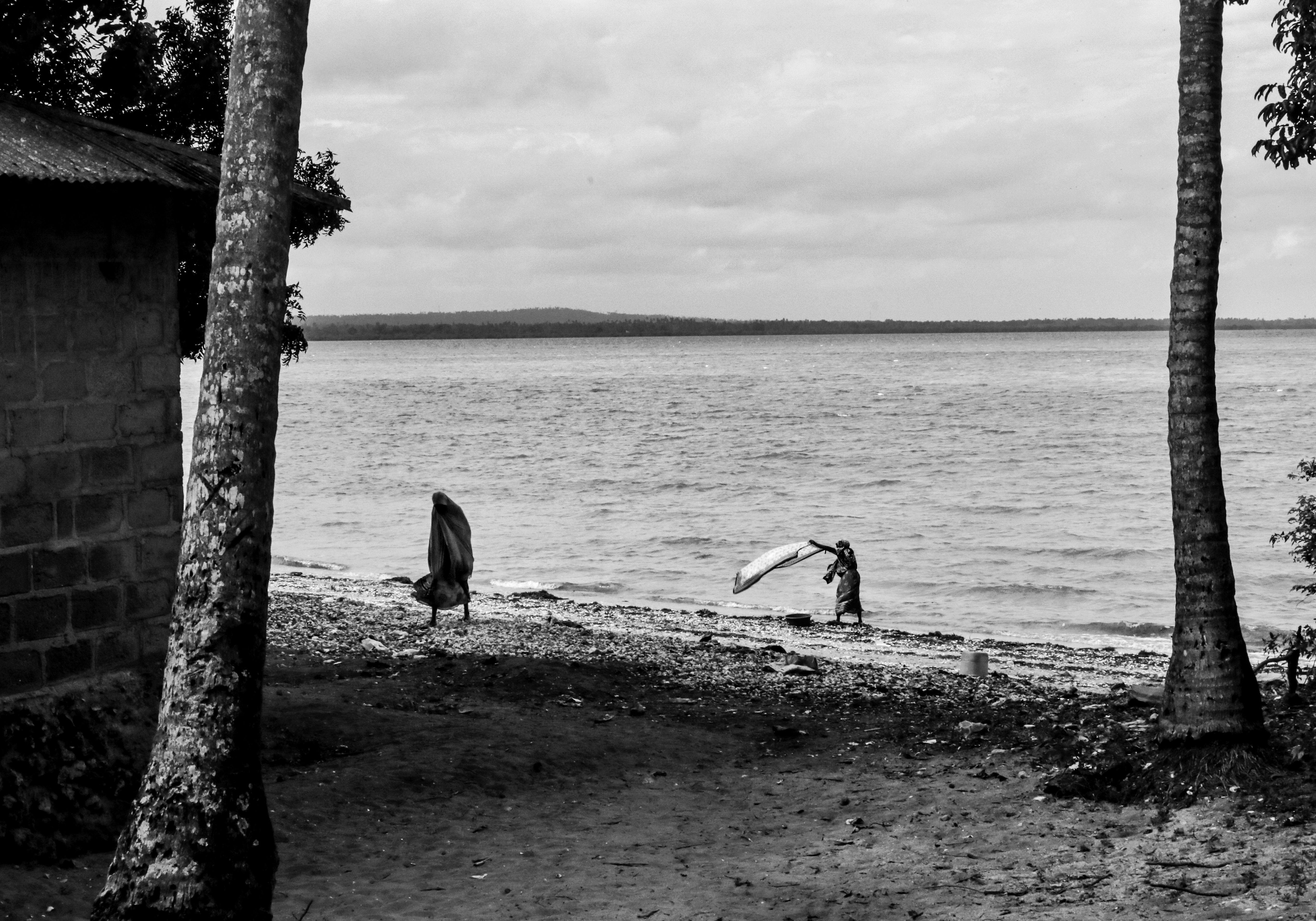 Port de pêche et activités côtières à Antsiranana, Madagascar