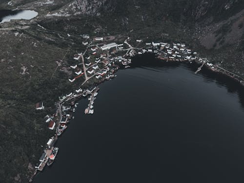 Town by the Lake in Black and White