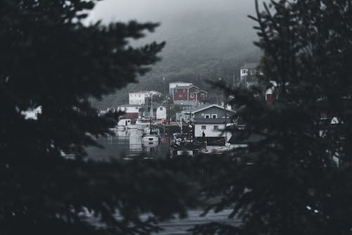 Fishing Village Harbor between Trees