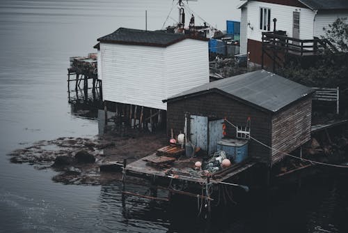 бесплатная Бесплатное стоковое фото с берег озера, гавань, деревни Стоковое фото