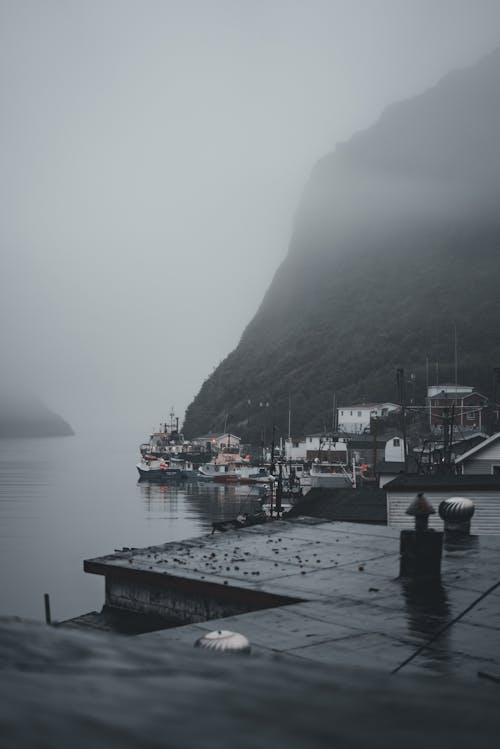 Photos gratuites de bateaux, brouillard, brume