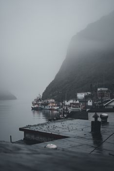 misty grey harbor water