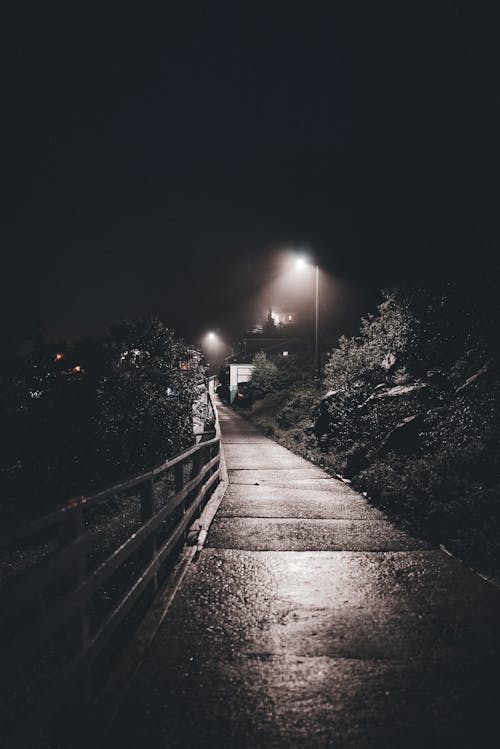 Wet Concrete Walkway at Night