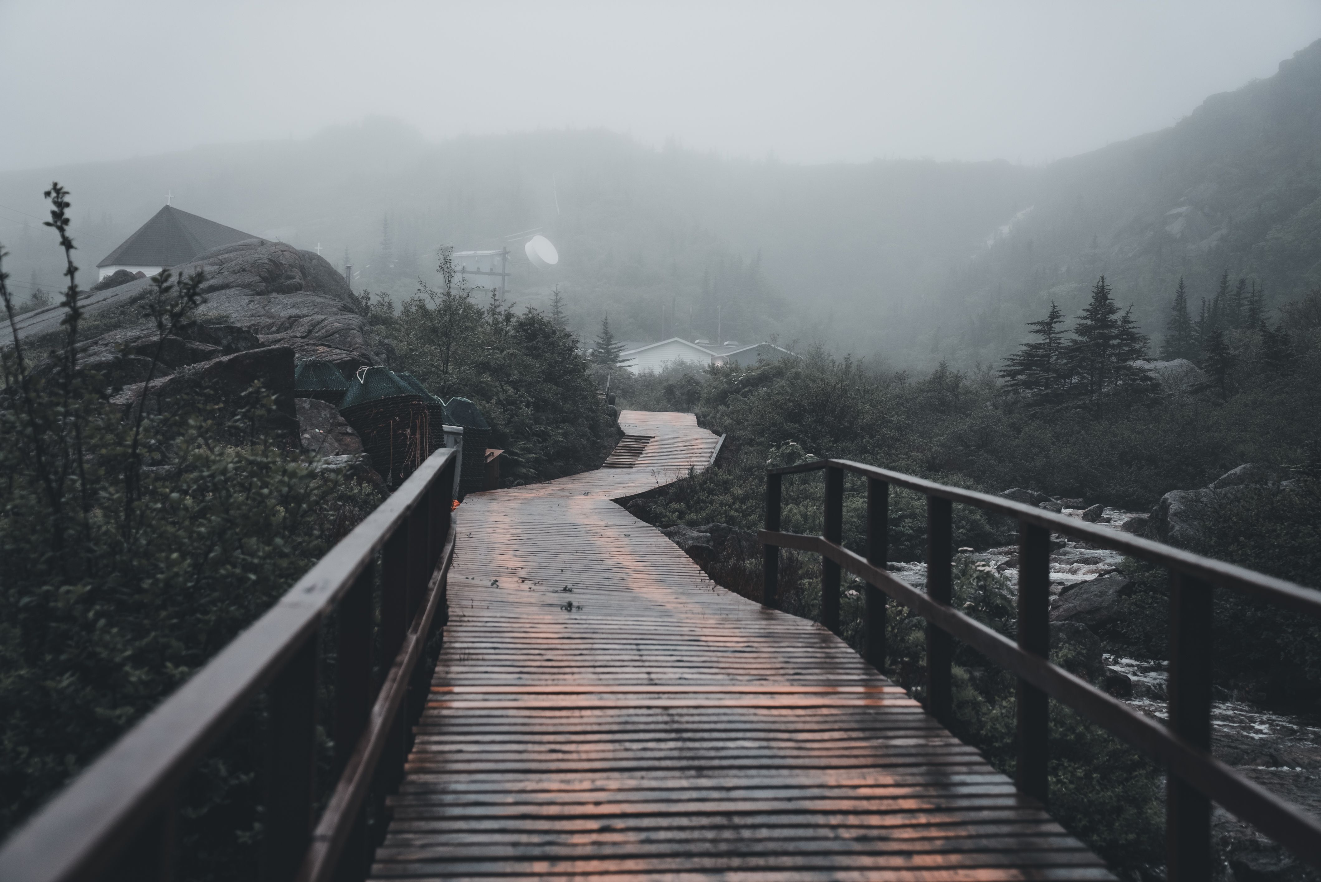 narrow wooden bridge crossing forest