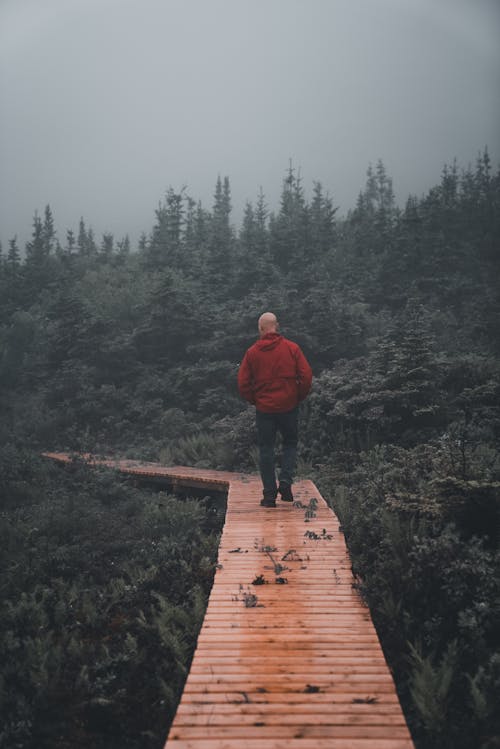 Back View of a Man Walking on a Boardwalk 