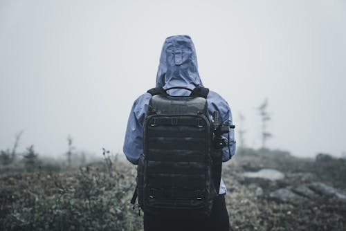 Back of a Hiker Wearing a Backpack