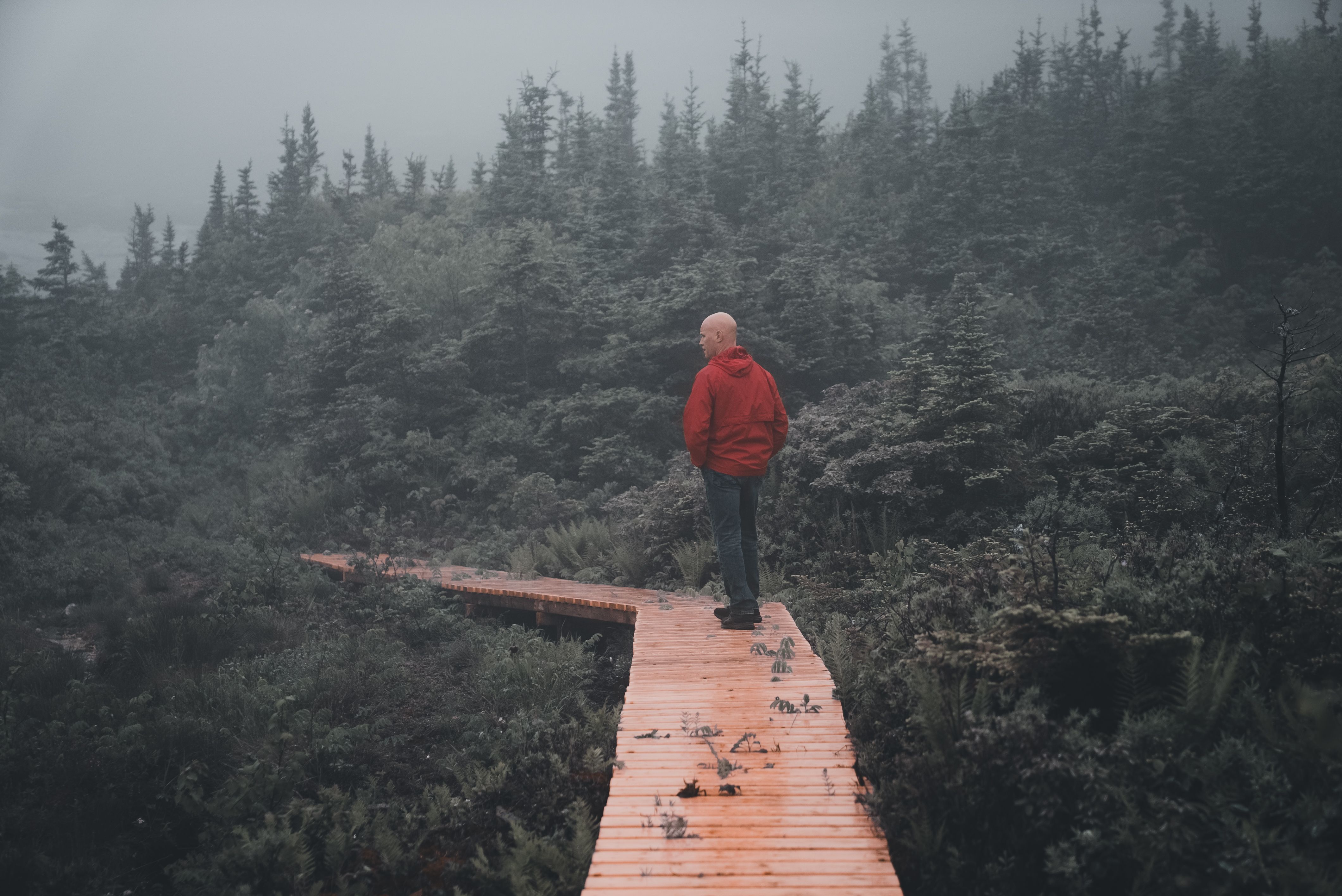 A person standing at a crossroads in a misty forest, with two diverging paths