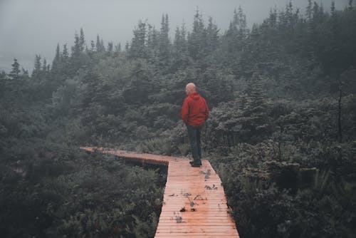 Bald Man on Wooden Footpath in Forest