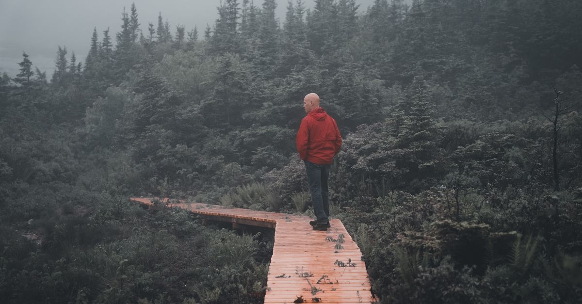 A person standing at a crossroads in a misty forest, with two diverging paths