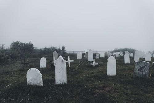 Immagine gratuita di cimitero, croci religiose, erba