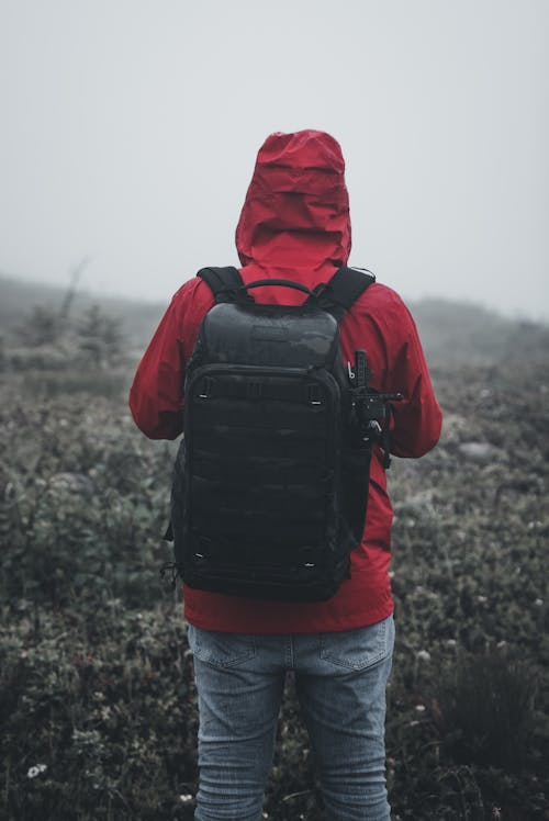 Back of a Hooded Hiker Wearing a Backpack Standing Outdoors during a Foggy Weather
