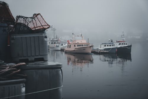 Бесплатное стоковое фото с вода, моторные лодки, пришвартованный