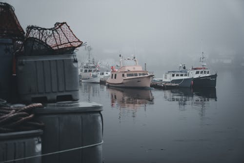 Immagine gratuita di acqua, bagnasciuga, motoscafi