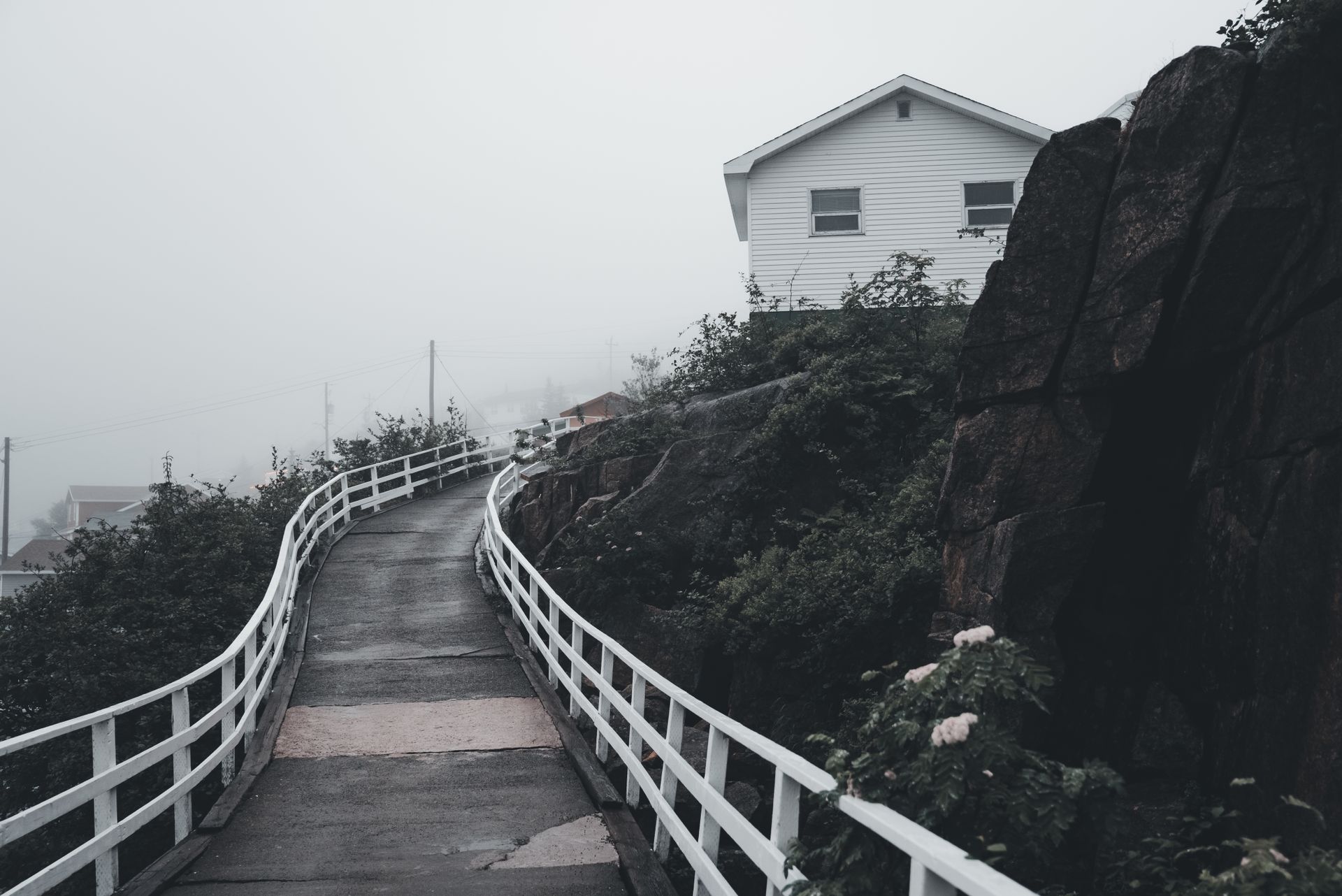 Alley towards House under Fog