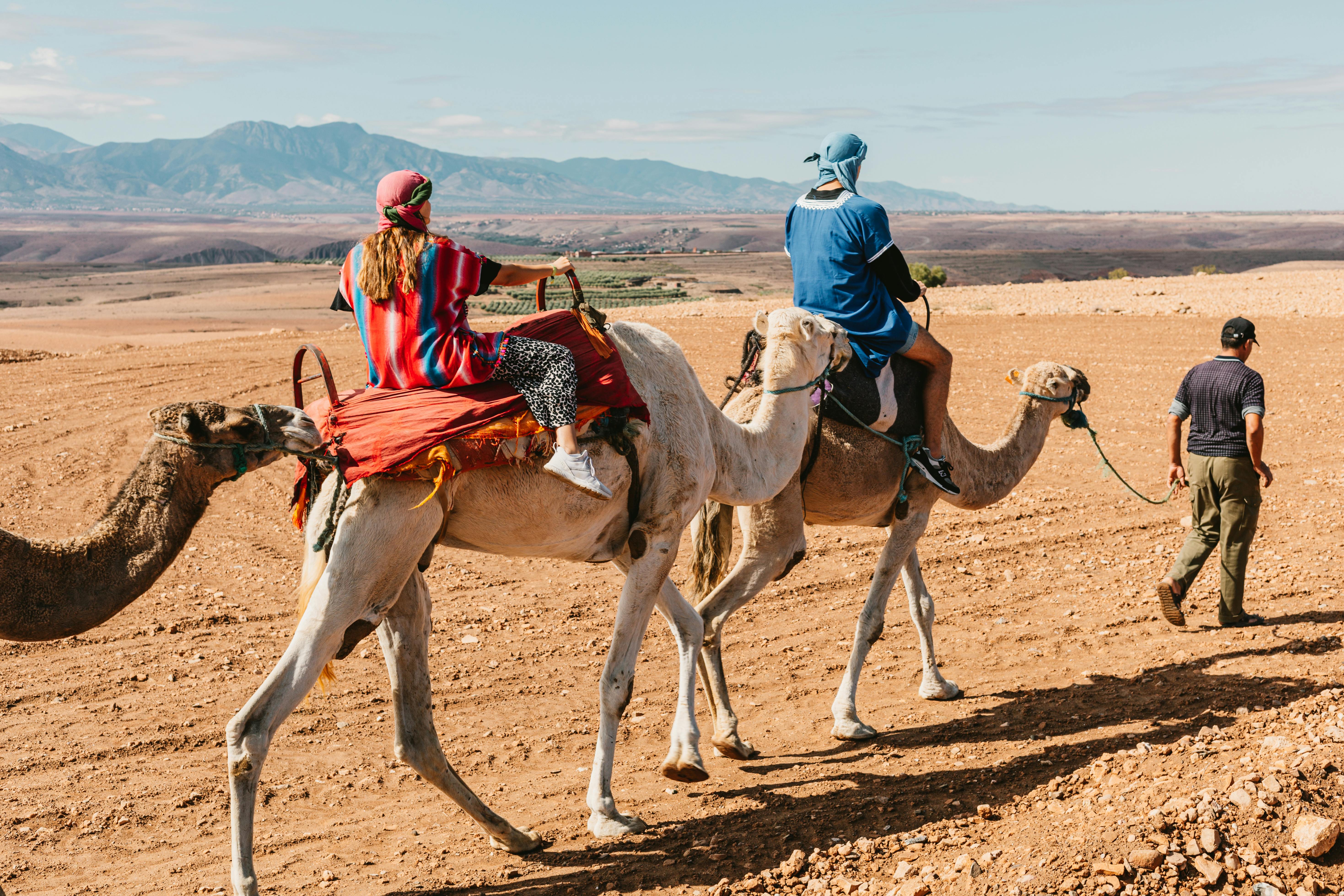 Camel ride family Sahara