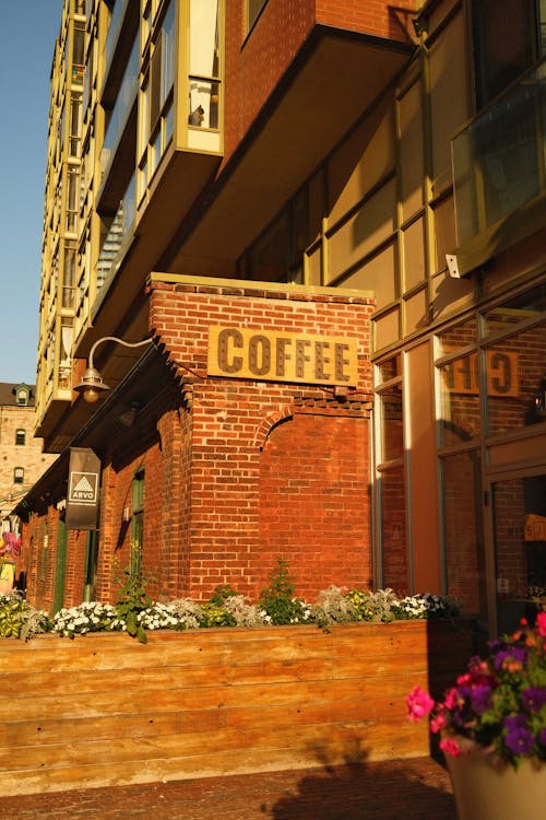 Fotos de stock gratuitas de cafetería, edificio, iluminado por el sol