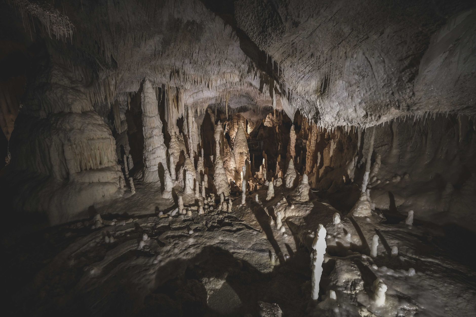 Cave mouth and lake at Dunbar Cave State Park near Clarksville