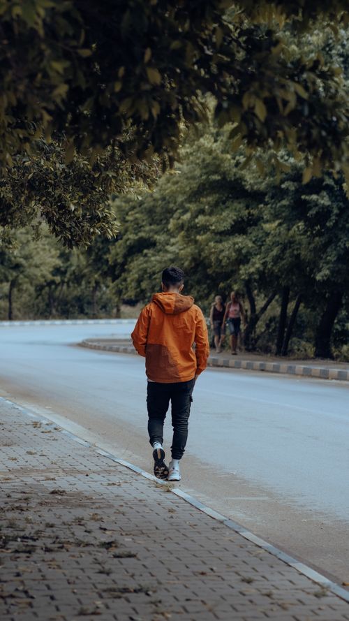 Free Back view of a man walking on a quiet, tree-lined street in autumn. Stock Photo