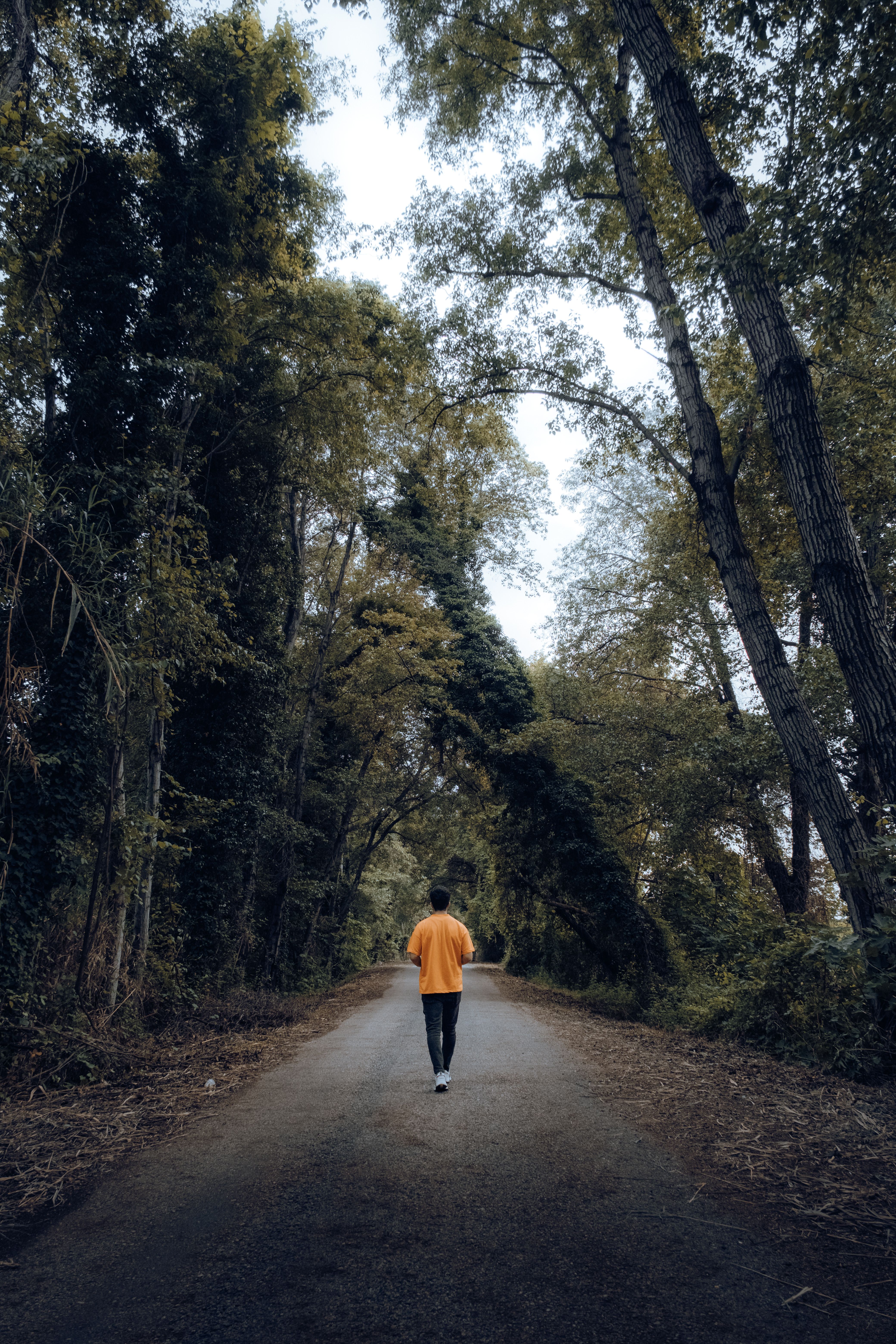 Les bienfaits des bains de forêt pour la santé mentale en 2026 