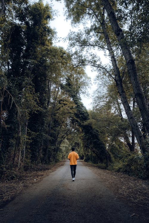 Trees over Man on Road