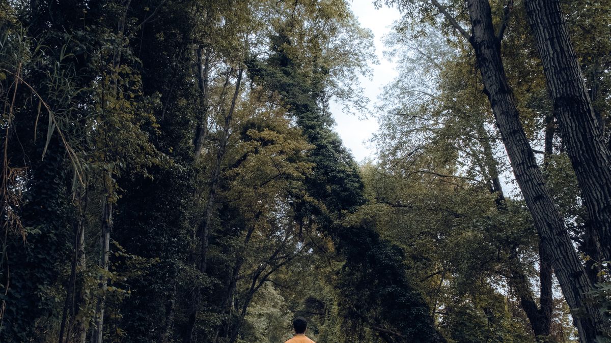 Les bienfaits des bains de forêt pour la santé mentale en 2026