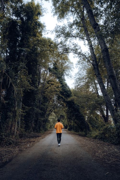 Free A man in a bright shirt walks down a quiet, tree-lined road in a lush forest setting. Stock Photo