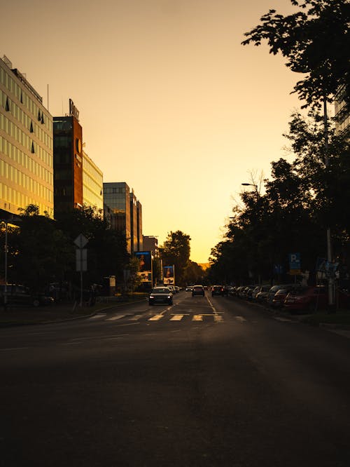 Street in Town at Sunset under Clear Sky
