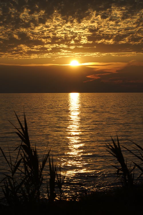 Lake During Sunset