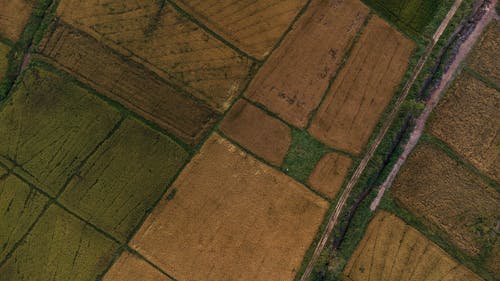 Birds Eye View of Rural Fields