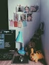 Computer Desktop Set With Plush Toys and Clip Photos