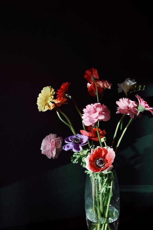 buket, cam vazo, Çiçek aranjmanı içeren Ücretsiz stok fotoğraf