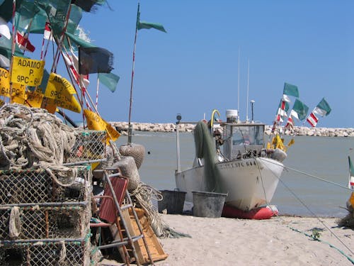 Foto profissional grátis de a bordo, agricultura, água