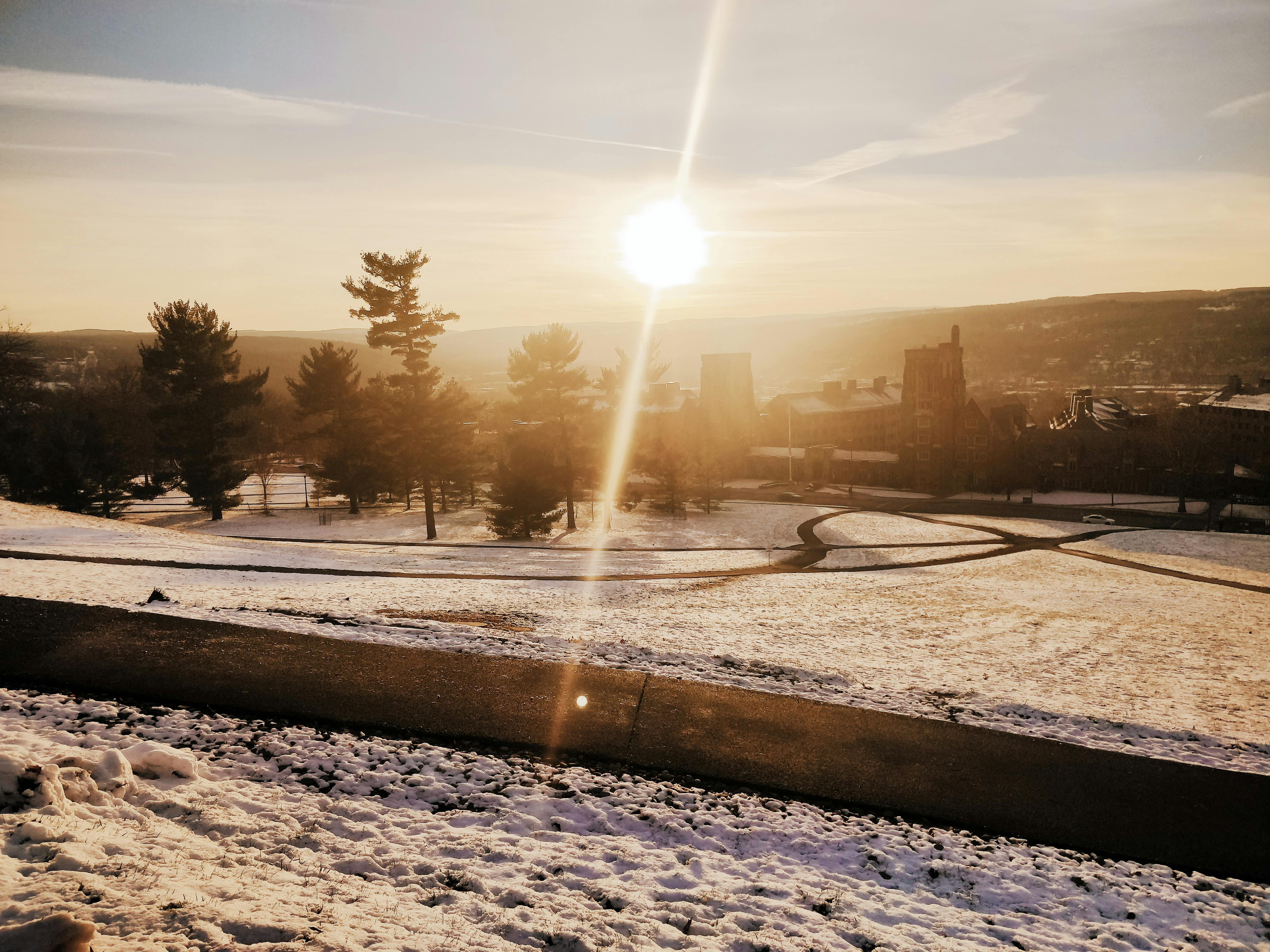 Free stock photo of cornell university, snow, winter view