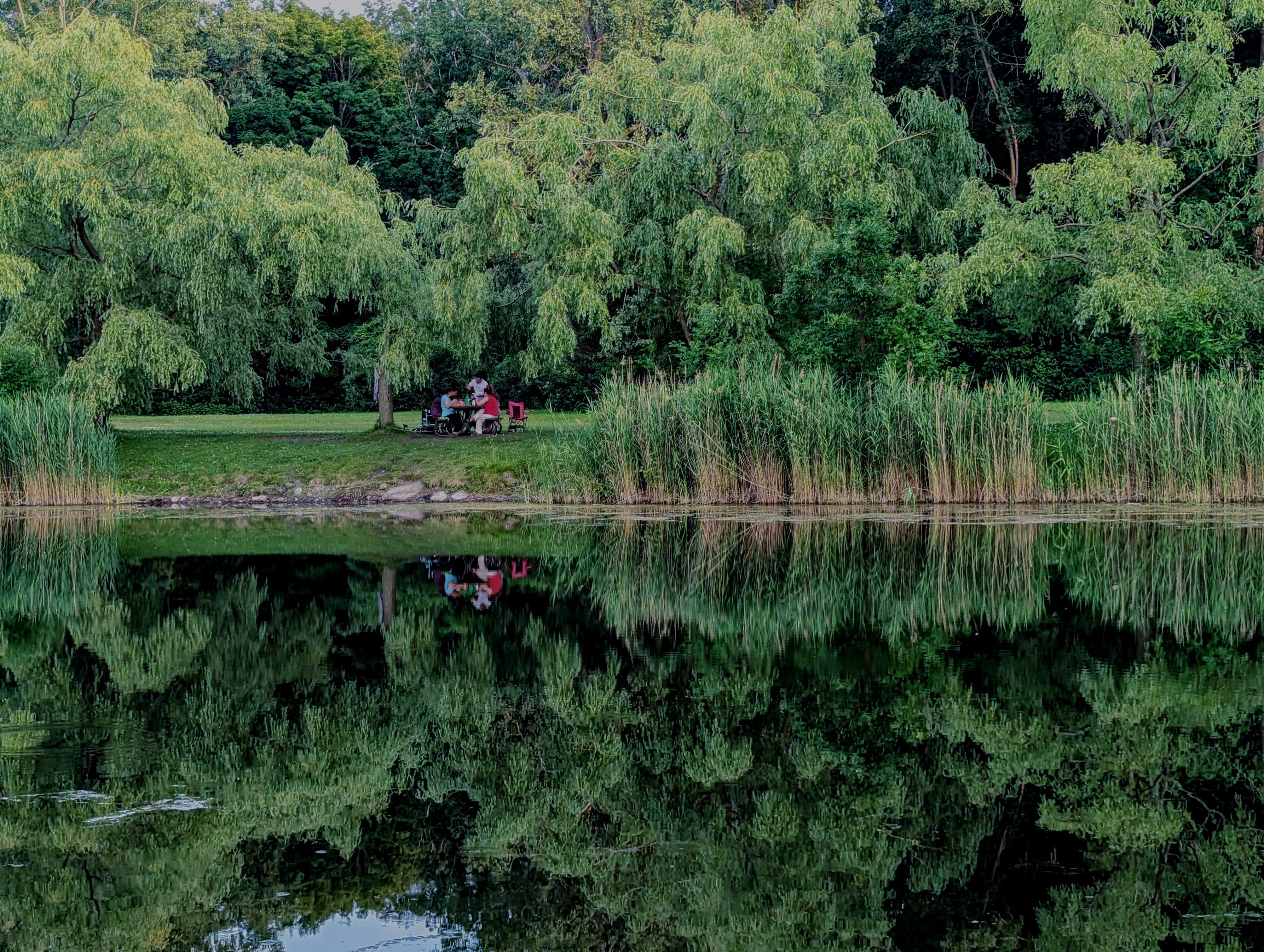 Tawasentha Park