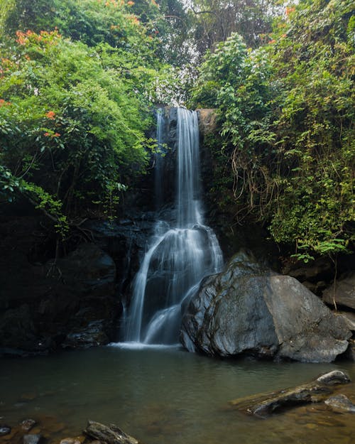 Foto profissional grátis de água, cachoeira, corrente