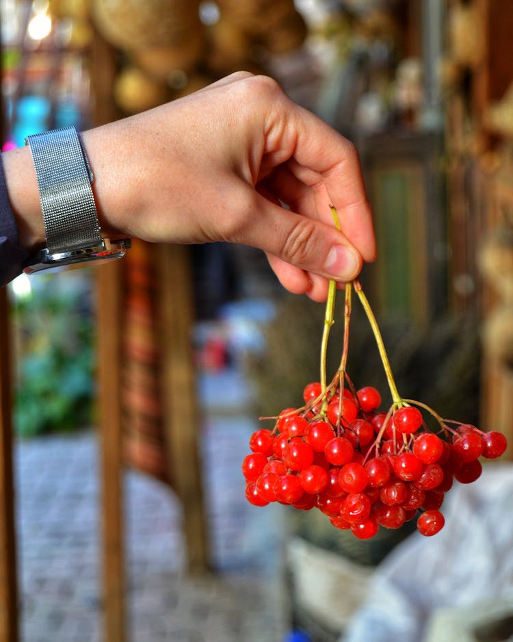 Man Hand Holding Red Berries